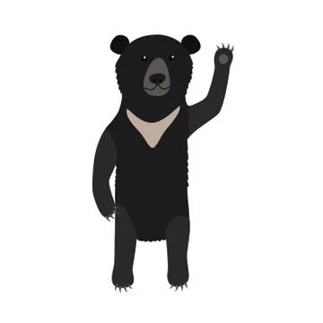 Himalayan black bear Stock Illustration