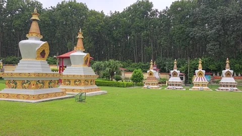 Himalayan Heritage: Ancient Temples in Uttarakhand Stock Footage 317071510