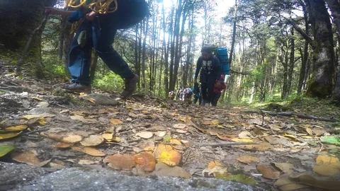 Himalayan mountaineers Stock Footage 113788503