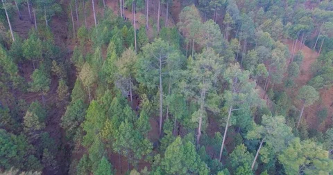 Himalayan mountains Stock Footage 122503791