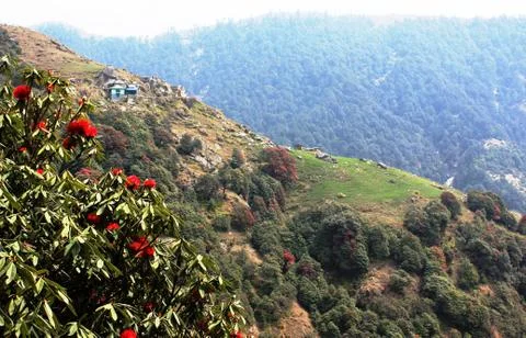 Himalayan Mountains in India Stock Photos