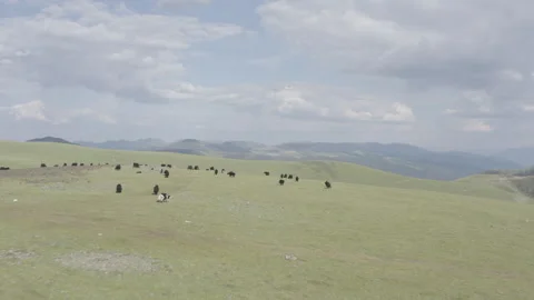 Himalayan Plateau Drone Stock Footage 254555062