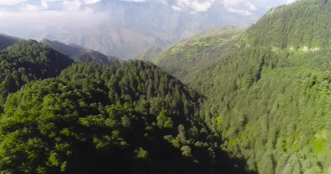 Himalayan Range Viewpoint from Deoban Forest near Chakrata,Uttarakhand,India Stock Footage 145020554