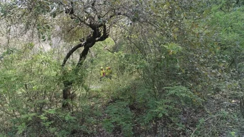 Himalayan rescuers Stock Footage 134411577