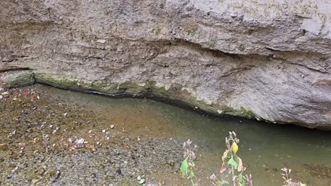 The Himalayan River Dance: Water in Motion Stock Footage 313563112
