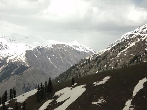 Himalayan Slopes: Snow, Pine Trees, and Distant Peaks Stock Photos