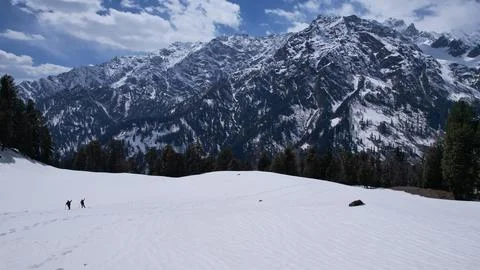 Himalayan winter cold snowfall white mountains frozen pine tree forests in .. Stock Photos
