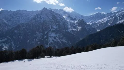 Himalayan winter cold snowfall white mountains frozen pine tree forests in .. Stock Photos
