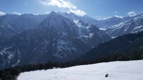 Himalayan winter cold snowfall white mountains frozen pine tree forests in .. Stock Photos