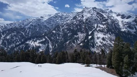 Himalayan winter cold snowfall white mountains frozen pine tree forests in .. Stock Photos