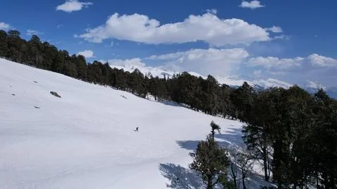 Himalayan winter cold snowfall white mountains frozen pine tree forests in .. Stock Photos