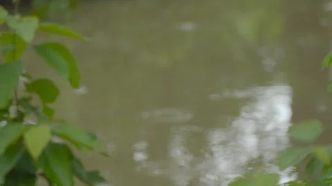 Himalayas during monsoon. Stock Footage 110828730