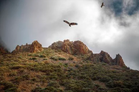 Himalayas Stock Photos