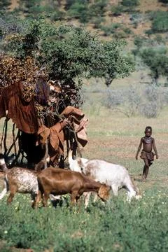 Himba people Stock Photos