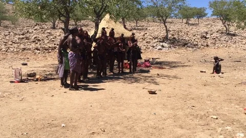 A Himba tribe engage in ritual dances at sunset on tribal lands near Stock Footage 115029385