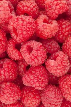 Himbeere aus der Nähe Raspberry closeup hires pattern Copyright: xZoonar.c.. 스톡 사진