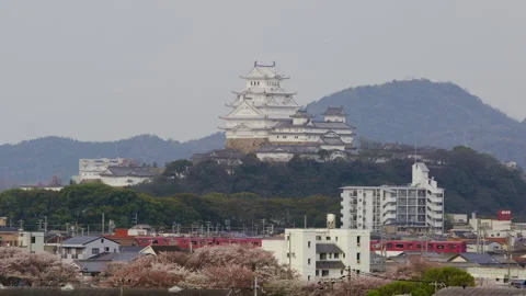 Himeji Castle Cherry Blossoms Stock Footage 332853648