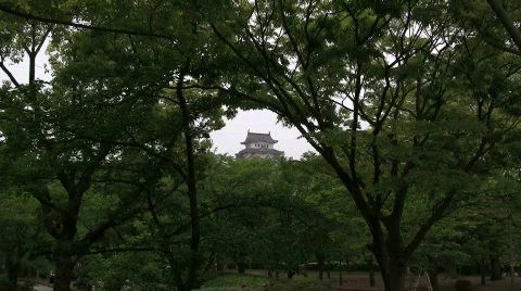 Himeji Castle Stock Footage 776267