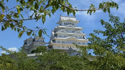 Himeji Castle Stock Footage 89907305