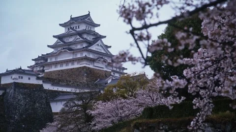 Himeji Castle Keep Through Cherry Blossom Foreground Overcast Vídeos de archivo 344966273