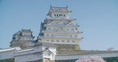 Himeji Castle in Spring with Cherry Blossoms Video stock 76494136