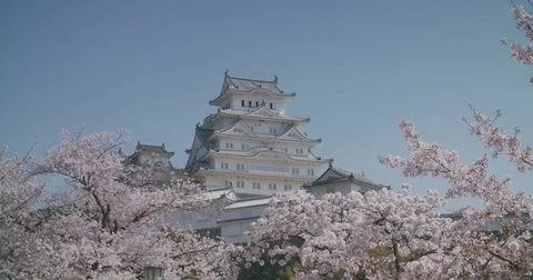 Himeji Castle in Spring with Cherry Blossoms Stock Footage