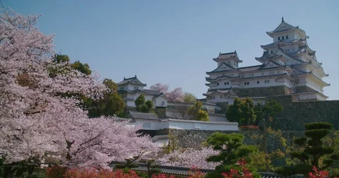 Himeji Castle in Spring with Cherry Blossoms Video stock 76504535