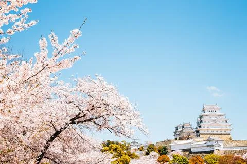 Himeji Castle with spring cherry blossoms in Japan Stock Photos