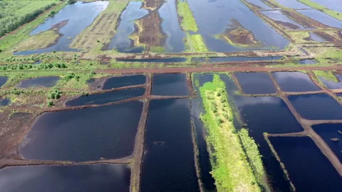 Himmelmoor Stock Footage 132293686