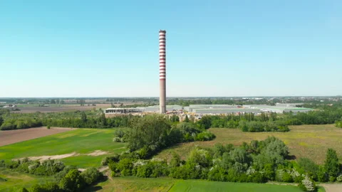 Himney standing in a field Stock Footage 90495856