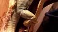 Hind leg and tail of green iguana HD Footage