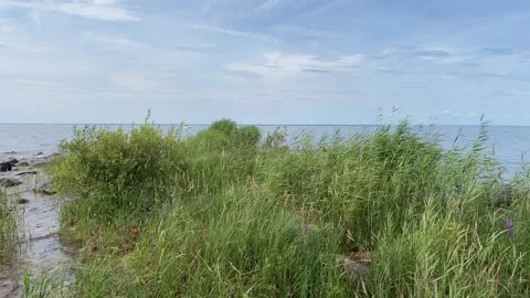 Hindens rev at Vänern Stock Footage 286251885