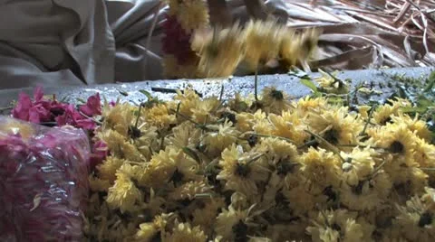 Hindu Garland Maker Stock Footage 11802467
