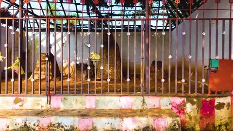 Hindu God - Inside the Cage - Leftwards Video stock 262176101