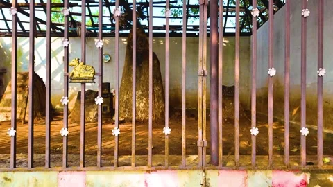 Hindu God - Inside the Cage - Rightwards Stock Footage 262176426