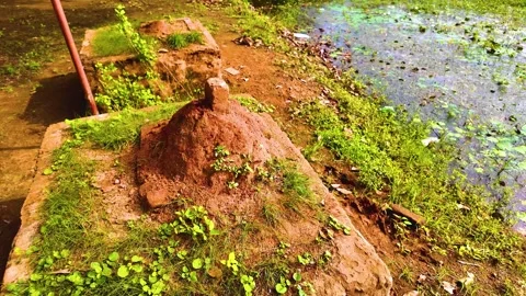 Hindu God Made up of Brick Stock Footage 262176579