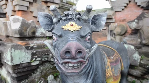 Hindu pork statue Stock Footage 96188092