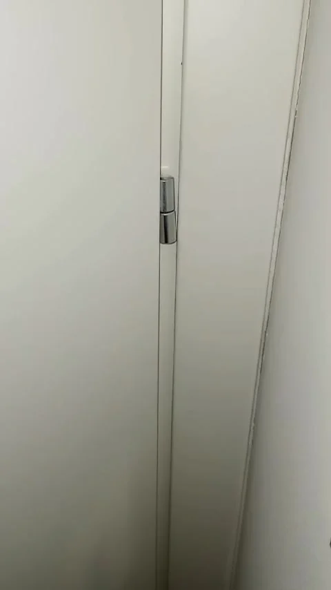 Hinge of an interior door Video stock 321004155