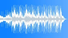 Hip Hop India 30 SecondsStock Music