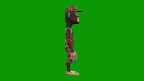 Hip-Hop Monkey Character idle Right-3D Animation on Green Screen Stock Footage 312672421