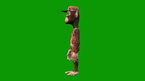 Hip-Hop Monkey Character idle Left-3D Animation on Green Screen Stock Footage 312672894