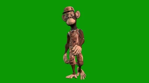 Hip-Hop Monkey Character Walking Front-3D Animation on Green Screen Stock Footage 312672520