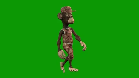 Hip-Hop Monkey Character Walking Right-3D Animation on Green Screen Stock Footage 312672529