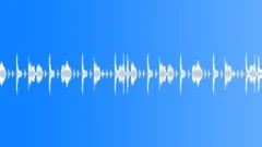 Hip Hop Summer Calypso Groove 113 BPMStock Music