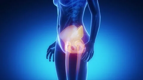 HIP joint bone skeleton x-ray scan in blue Vidéo 48496801