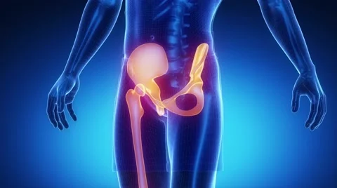 HIP joint skeleton x-ray scan in blue Vidéo 48059236