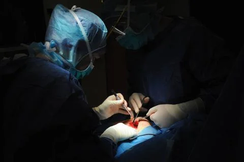  Hip replacement surgery. Hip prosthesis 016925 003  Stock Photos