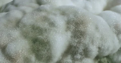 Hipper macro of mold on food, bread. Stock Footage 147383927