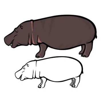 Hippo Stock Illustration