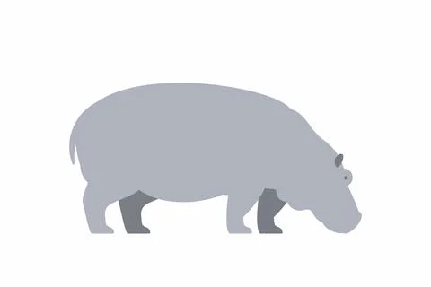 Hippo Stock Illustration
